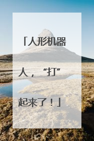 人形机器人，“打”起来了！