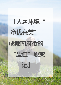 人居环境“净优亮美” 成都南府街的“盐值”蜕变记