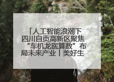 人工智能浪潮下 四川自贡高新区聚焦“车机龙医算数”布局未来产业丨美好生活有“盐”味