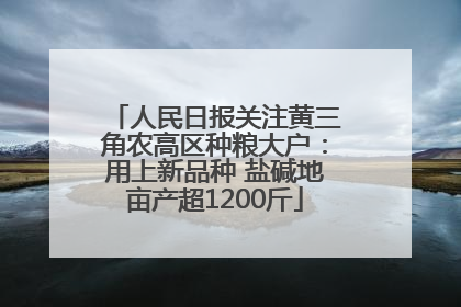 人民日报关注黄三角农高区种粮大户：用上新品种 盐碱地亩产超1200斤