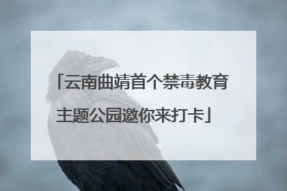 云南曲靖首个禁毒教育主题公园邀你来打卡