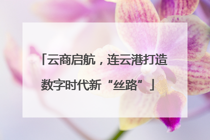 云商启航，连云港打造数字时代新“丝路”