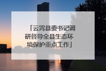 云霄县委书记调研督导全县生态环境保护重点工作