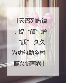 云霄列屿镇：提“颜”增“质” 久久为功勾勒乡村振兴新画卷