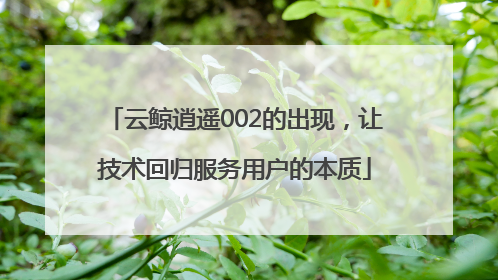 云鲸逍遥002的出现，让技术回归服务用户的本质
