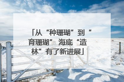 从“种珊瑚”到“育珊瑚” 海底“造林”有了新进展