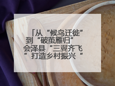 从“候鸟迁徙”到“破茧雁归” 会泽县“三翼齐飞”打造乡村振兴“创业雁阵”