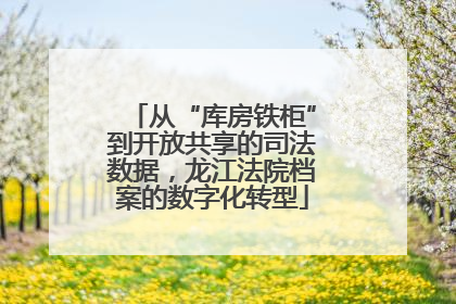 从“库房铁柜”到开放共享的司法数据，龙江法院档案的数字化转型