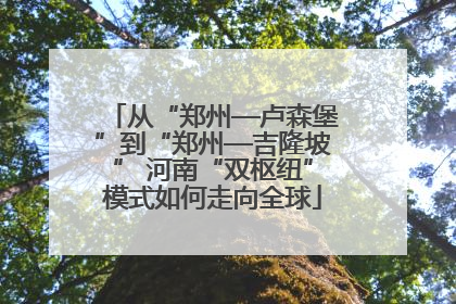 从“郑州—卢森堡”到“郑州—吉隆坡” 河南“双枢纽”模式如何走向全球
