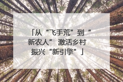 从“飞手荒”到“新农人” 激活乡村振兴“新引擎”