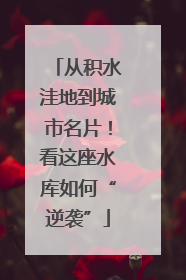 从积水洼地到城市名片！看这座水库如何“逆袭”