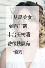 从品美食到看非遗 丰台玉树消费帮扶展有惊喜