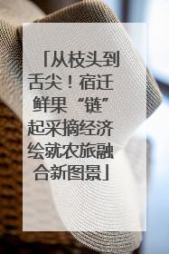 从枝头到舌尖！宿迁鲜果“链”起采摘经济绘就农旅融合新图景