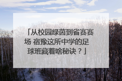 从校园绿茵到省赛赛场 宿豫这所中学的足球班藏着啥秘诀？