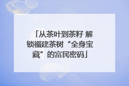 从茶叶到茶籽 解锁福建茶树“全身宝藏”的富民密码