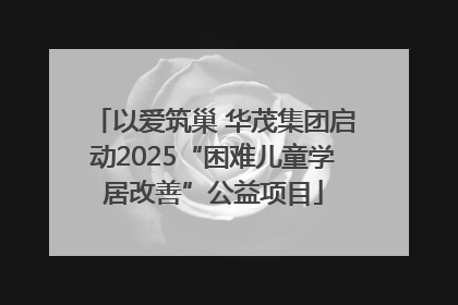 以爱筑巢 华茂集团启动2025“困难儿童学居改善”公益项目