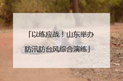 以练应战！山东举办防汛防台风综合演练