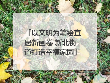 以文明为笔绘宜居新画卷 新北街道打造幸福家园