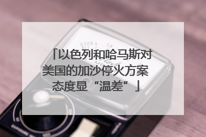 以色列和哈马斯对美国的加沙停火方案态度显“温差”