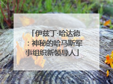 伊兹丁·哈达德：神秘的哈马斯军事组织新领导人