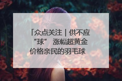 众点关注｜供不应“球” 涨幅超黄金 价格亲民的羽毛球为何身价飞涨？