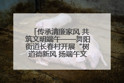 传承清廉家风 共筑文明端午——舞阳街道长春村开展“树道德新风 扬端午文化”主题活动