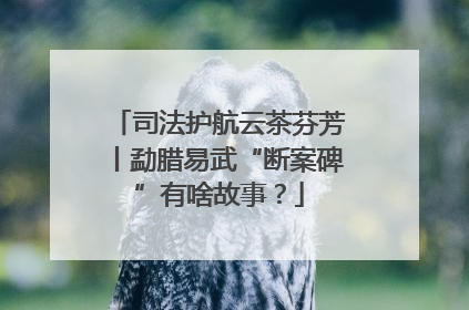 司法护航云茶芬芳丨勐腊易武“断案碑”有啥故事？