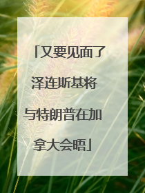 又要见面了 泽连斯基将与特朗普在加拿大会晤