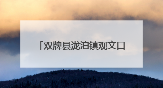 双牌县泷泊镇观文口村：粽叶飘香承古韵 乡情凝聚展新篇