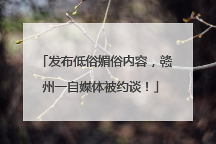 发布低俗媚俗内容，赣州一自媒体被约谈！