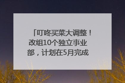 叮咚买菜大调整！改组10个独立事业部，计划在5月完成App端全面改版