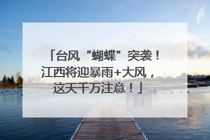 台风“蝴蝶”突袭！江西将迎暴雨+大风，这天千万注意！