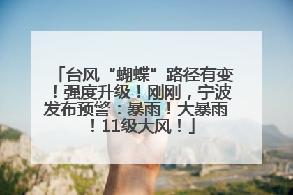 台风“蝴蝶”路径有变！强度升级！刚刚，宁波发布预警：暴雨！大暴雨！11级大风！