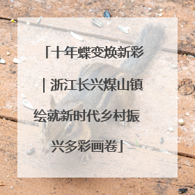 十年蝶变焕新彩｜浙江长兴煤山镇绘就新时代乡村振兴多彩画卷