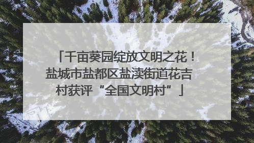 千亩葵园绽放文明之花！盐城市盐都区盐渎街道花吉村获评“全国文明村”