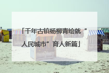 千年古镇杨柳青绘就“人民城市”育人新篇