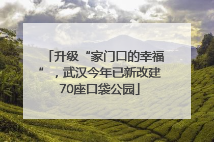 升级“家门口的幸福”，武汉今年已新改建70座口袋公园