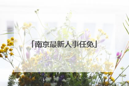 南京最新人事任免