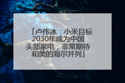 卢伟冰：小米目标2030年成为中国头部家电，非常期待和美的海尔并列