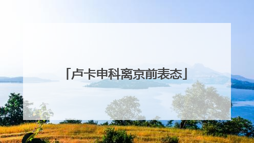 卢卡申科离京前表态