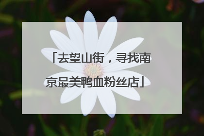 去望山街，寻找南京最美鸭血粉丝店