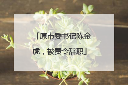 原市委书记陈金虎，被责令辞职