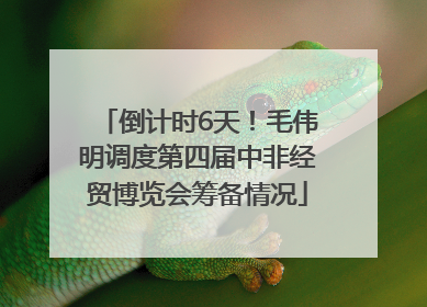 倒计时6天！毛伟明调度第四届中非经贸博览会筹备情况