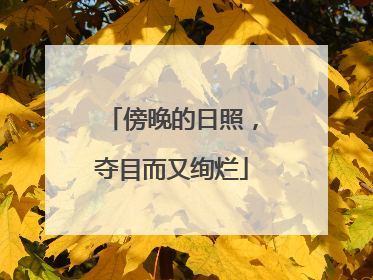 傍晚的日照，夺目而又绚烂