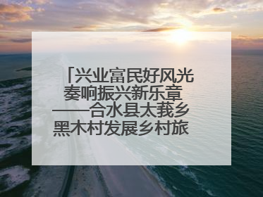 兴业富民好风光 奏响振兴新乐章——合水县太莪乡黑木村发展乡村旅游纪实