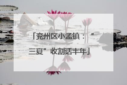 兖州区小孟镇：“三夏”收割话丰年