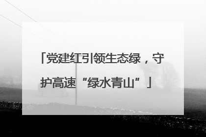 党建红引领生态绿，守护高速“绿水青山”