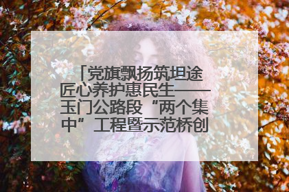 党旗飘扬筑坦途 匠心养护惠民生——玉门公路段“两个集中”工程暨示范桥创建项目圆满收官