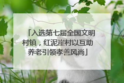 入选第七届全国文明村镇，红泥崖村以互助养老引领孝善风尚