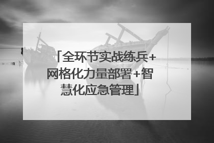 全环节实战练兵+网格化力量部署+智慧化应急管理